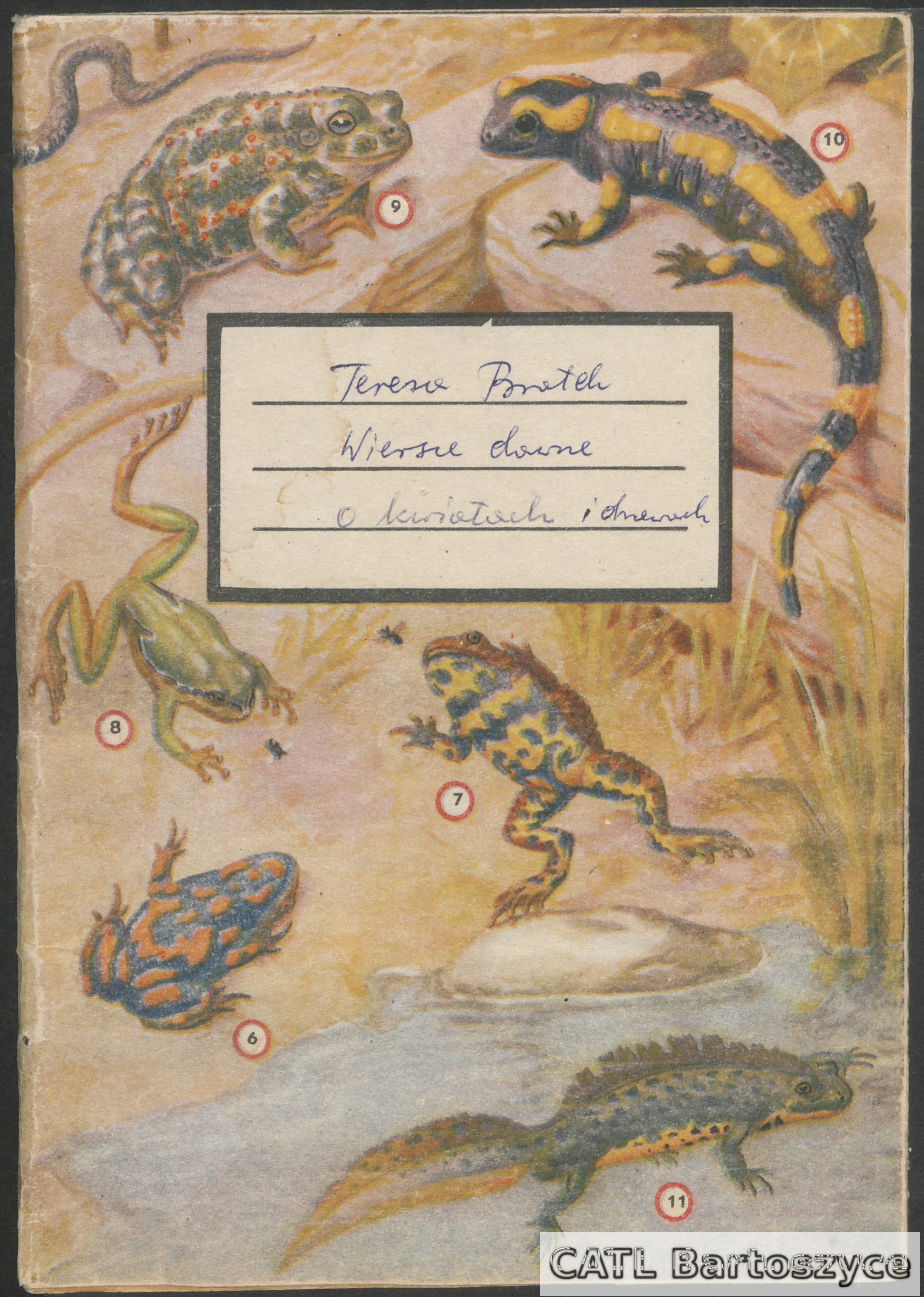 Ilustracja przedstawiająca różne płazy z numerami, m.in. żaby i salamander, otaczająca etykietę z ręcznie napisanym tekstem w stylu vintage.