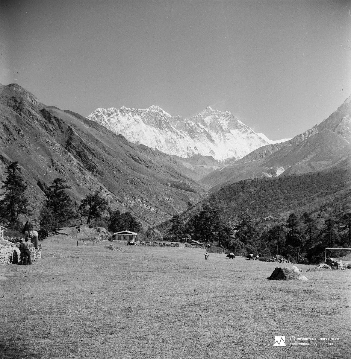 Czarno-białe zdjęcie przedstawiające Mount Everest w oddali, z trawiastymi równinami, drzewami i kilkoma małymi budynkami na pierwszym planie.
