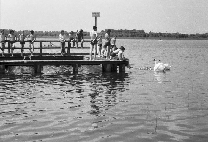 Grupa ludzi stoi i siedzi na drewnianym pomoście nad jeziorem, obserwując łabędzie i młode pływające w pobliżu; nad pomostem widoczny jest znak.