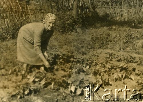 Stare zdjęcie kobiety w ogrodzie.